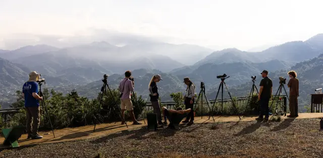 Behind-the-scenes photo from the 2024 Batumi Raptor Count autumn season